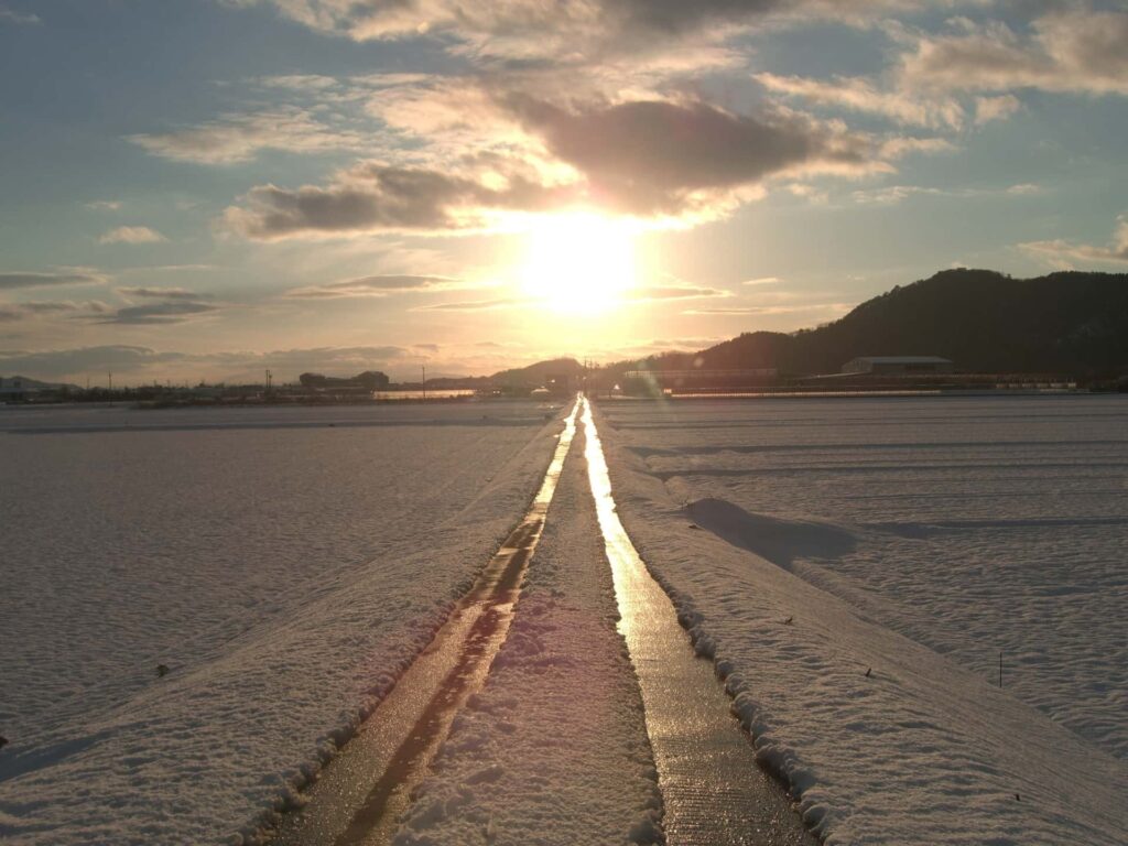 沿革