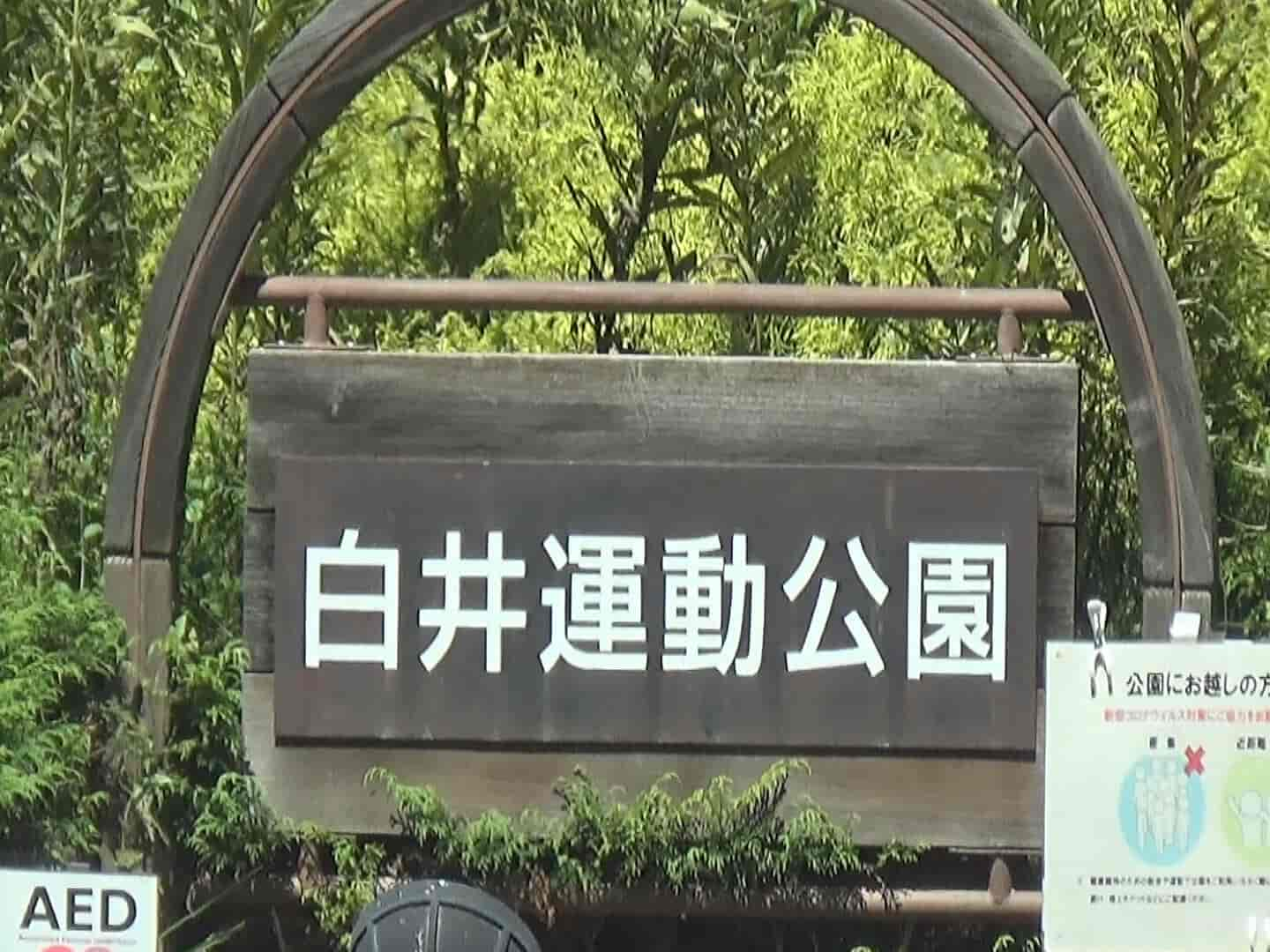 千葉県白井市の探偵浮気調査はラブ探偵事務所