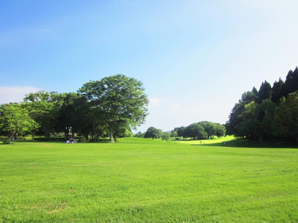 千葉県千葉市緑区の探偵浮気調査はラブ探偵事務所