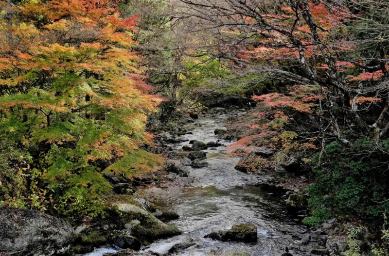 茨城県北茨城市の浮気調査で選ばれるラブ探偵事務所