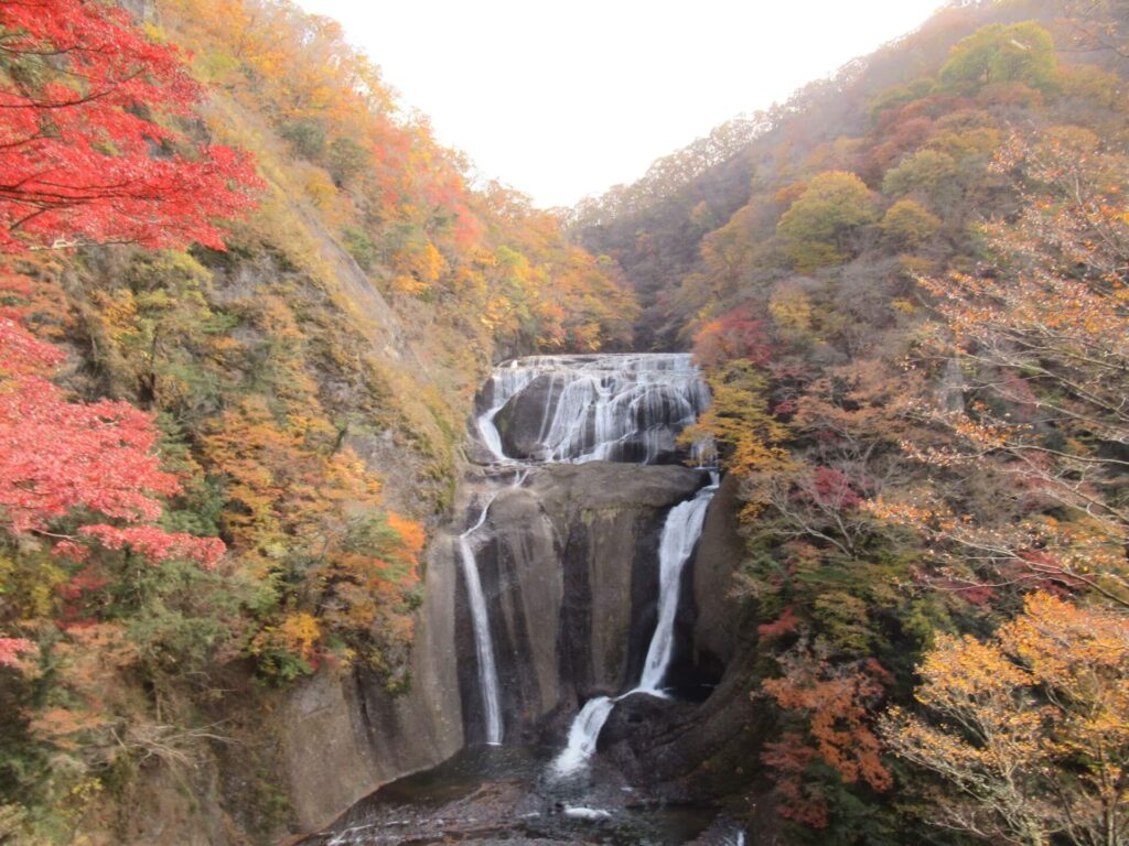 茨城県久慈郡の探偵浮気調査はラブ探偵事務所