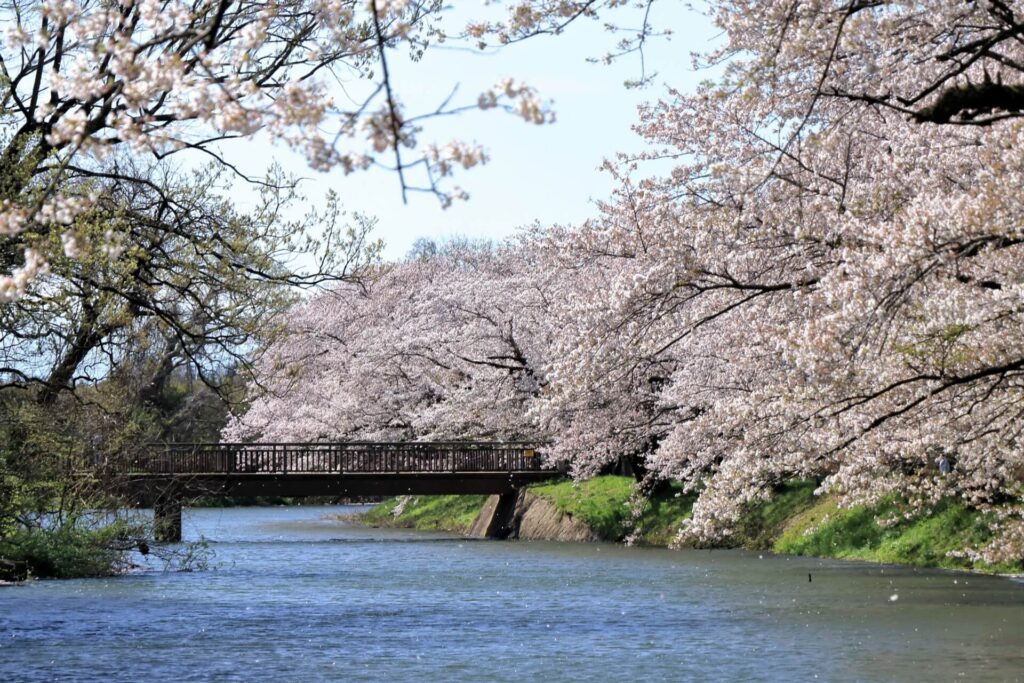 茨城県つくばみらい市の探偵浮気調査はラブ探偵事務所