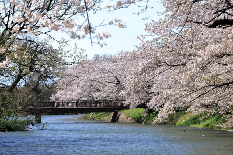 茨城県つくばみらい市の浮気調査で選ばれるラブ探偵事務所