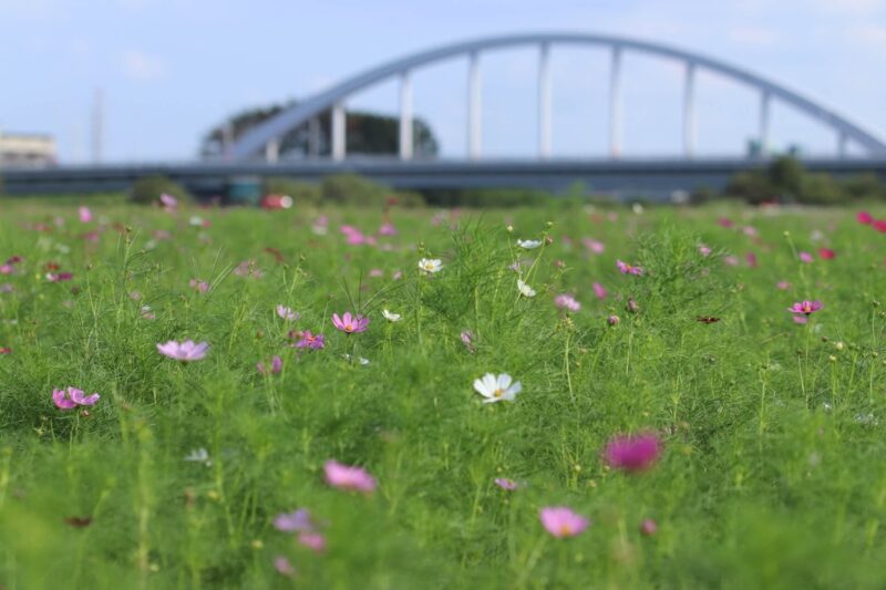 茨城県下妻市の浮気調査で選ばれるラブ探偵事務所