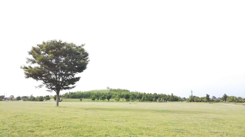 埼玉県北葛飾郡の浮気調査で選ばれるラブ探偵事務所