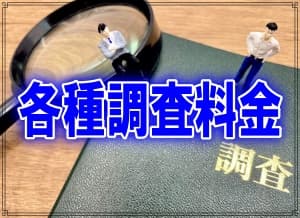 千葉県松戸市のラブ探偵事務所各種調査料金