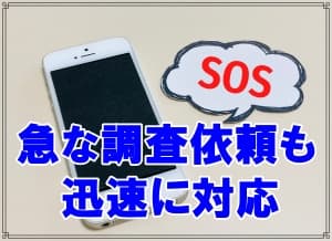 急な調査依頼にも迅速に対応