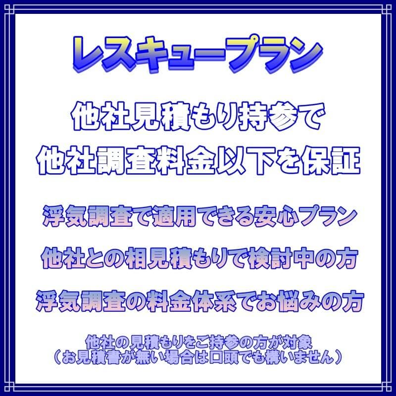 ラブ探偵事務所浮気調査や素行調査レスキュープラン