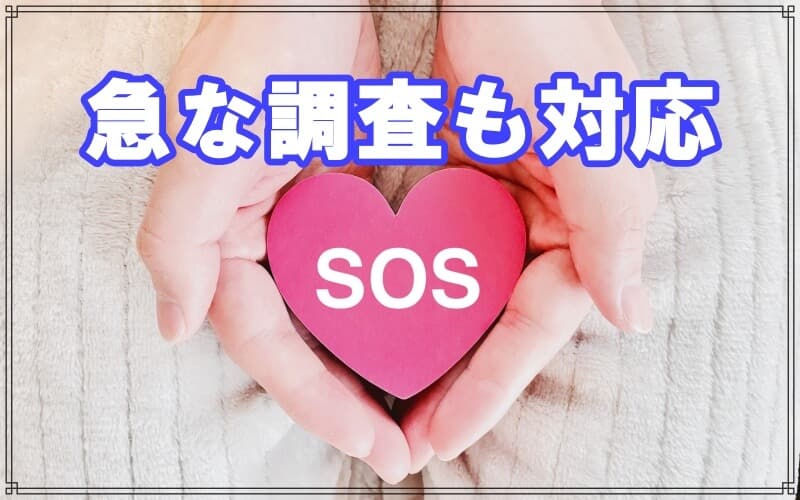 ラブ探偵事務所は当日の急な調査依頼にも迅速に対応
